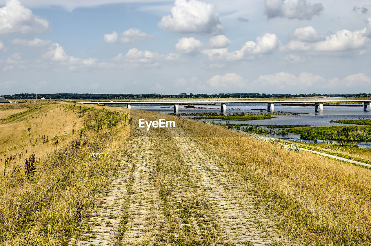 SCENIC VIEW OF LAND