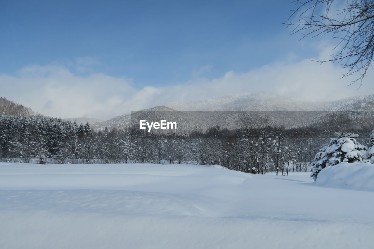 Snow covered field by trees against sky