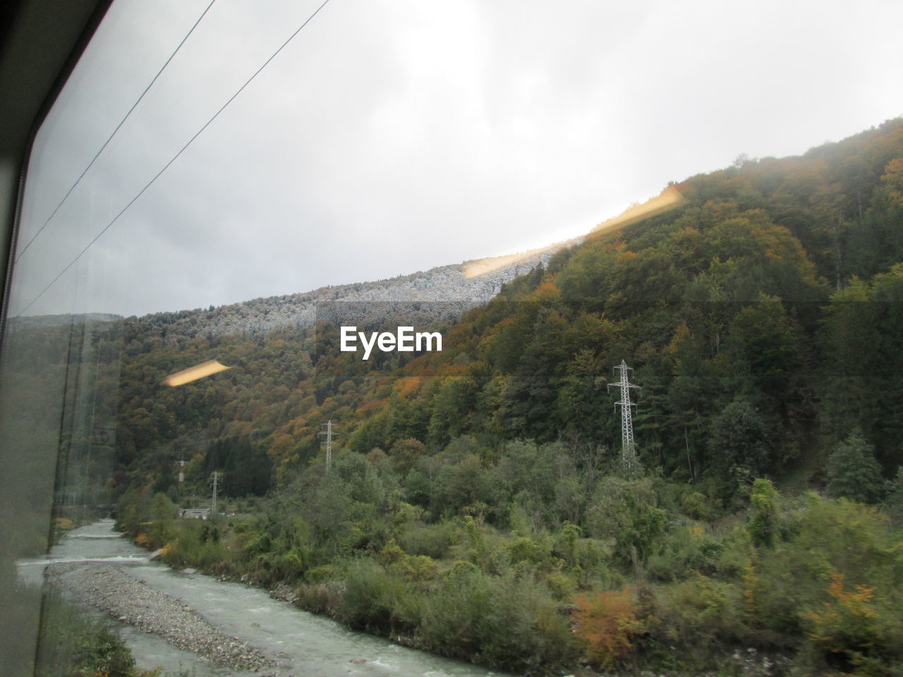 Electricity pylons along trees on landscape