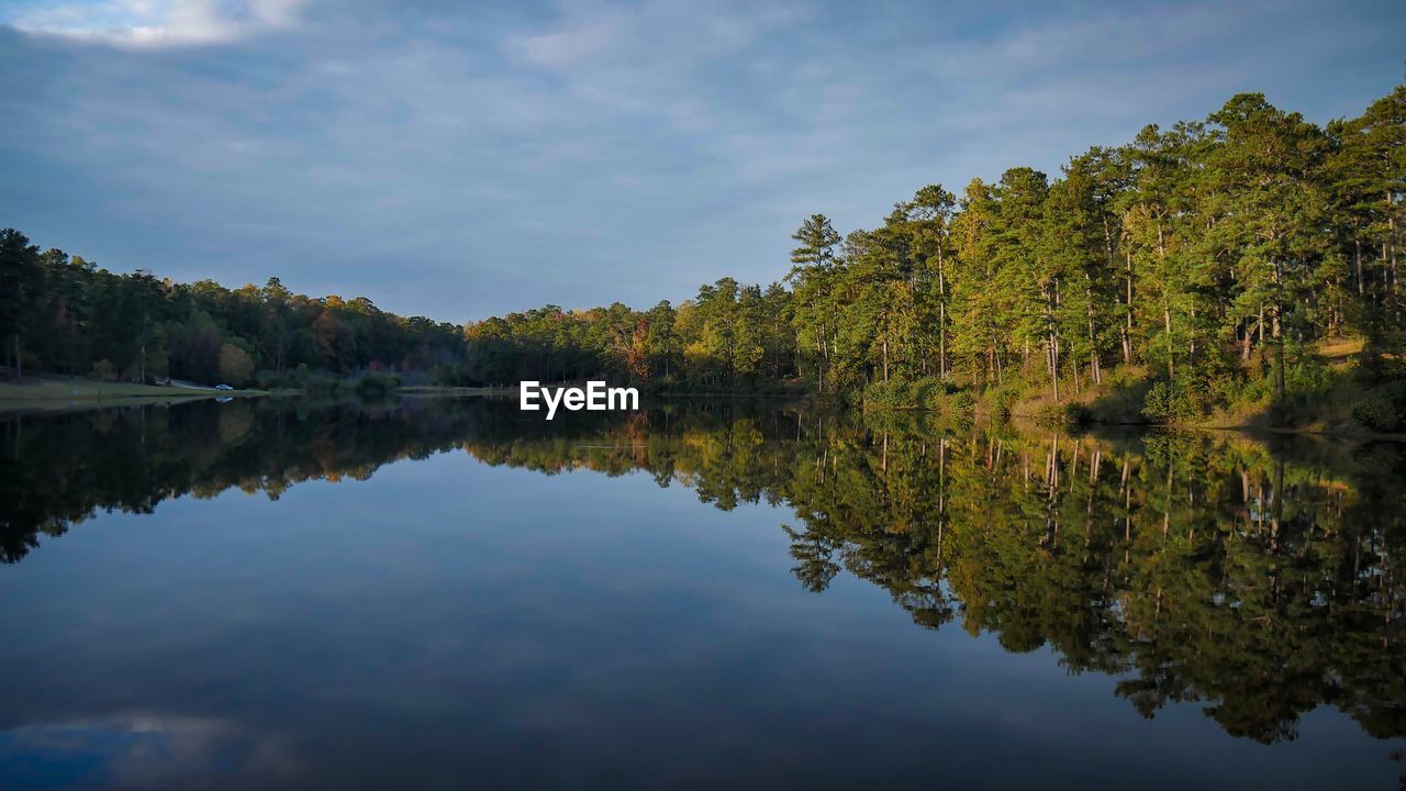 Reflection of trees in lake against sky