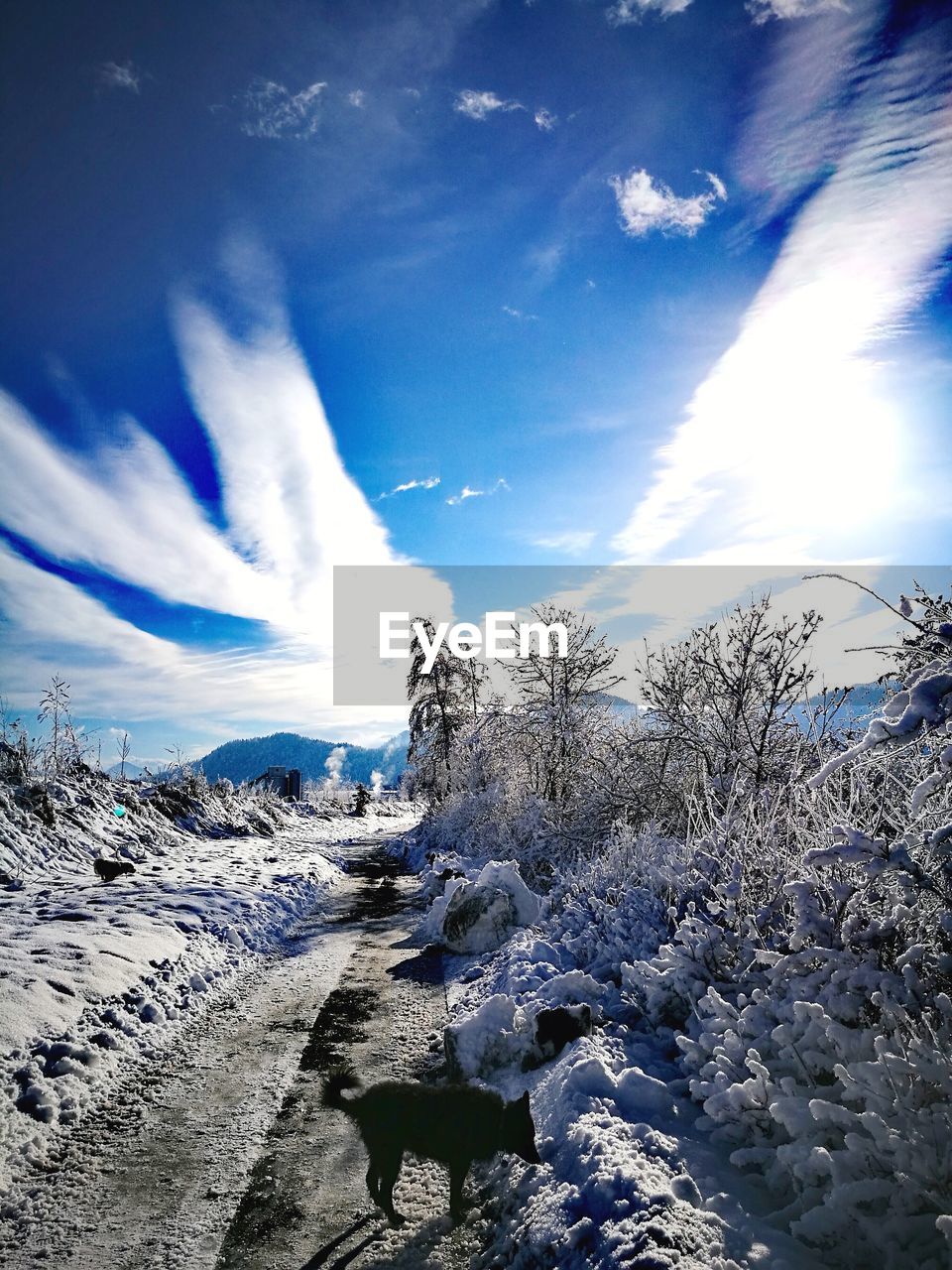 SNOW COVERED LANDSCAPE AGAINST SKY