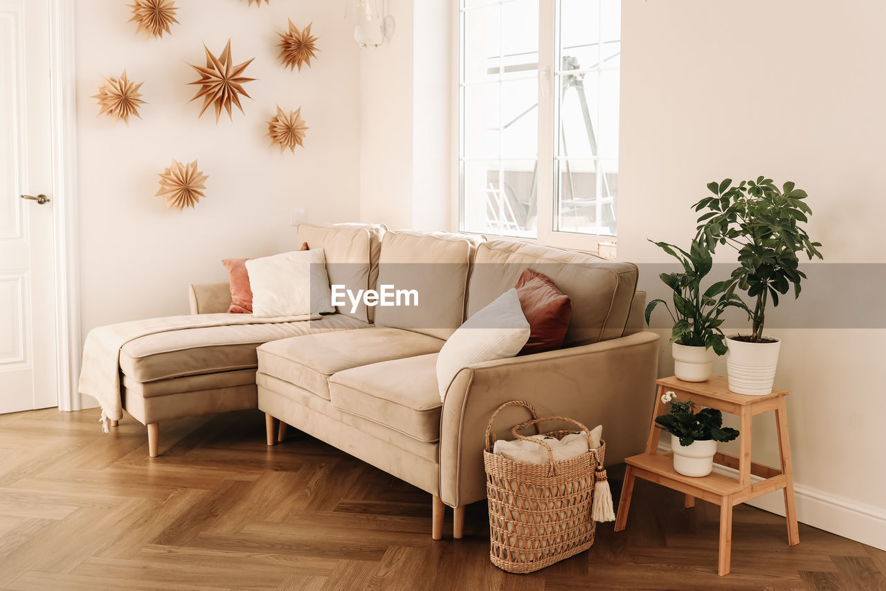 Scandinavian bright interior of a living room with a sofa and eco friendly decor in a cozy apartment