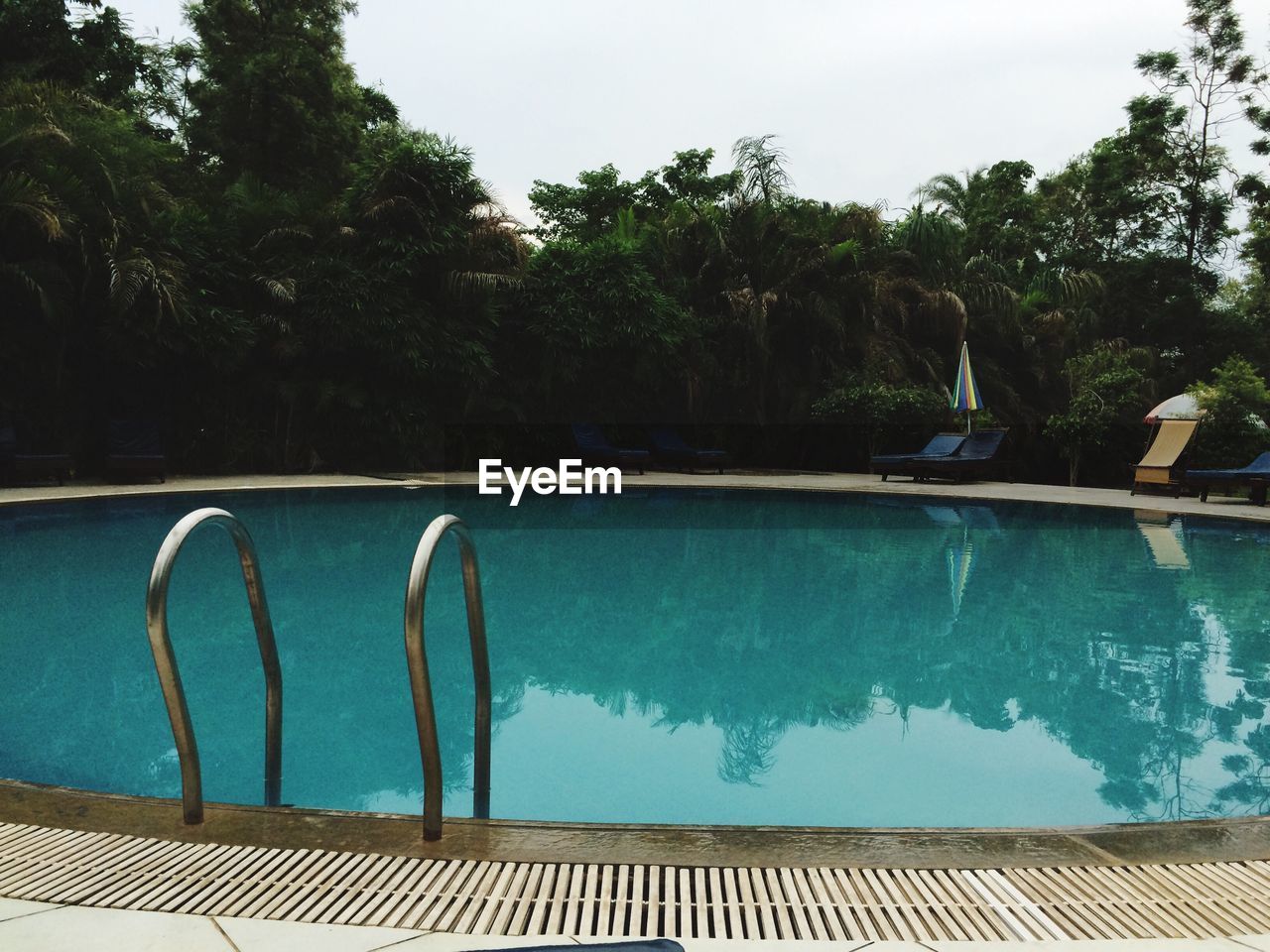 SWIMMING POOL BY TREE AGAINST SKY