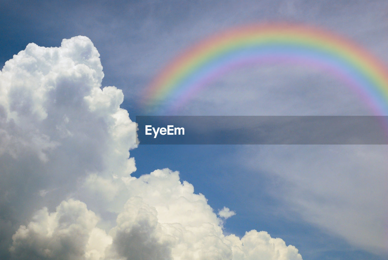 LOW ANGLE VIEW OF RAINBOW OVER TREES