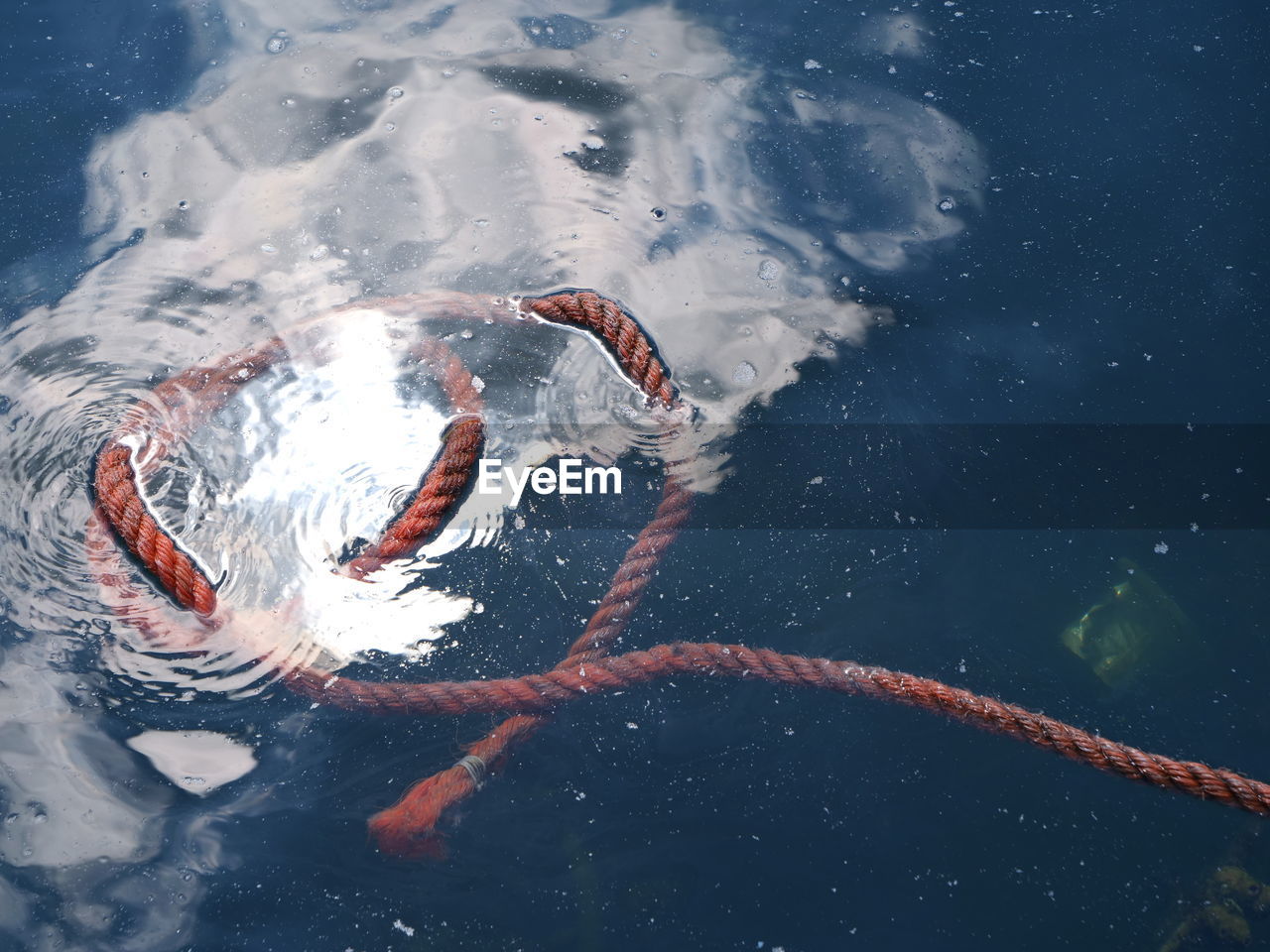 High angle view of rope floating on sea