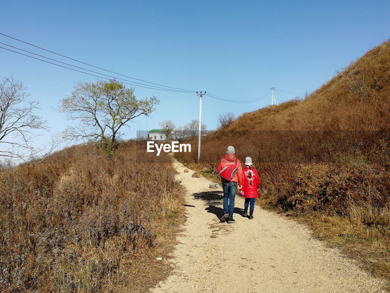 REAR VIEW OF PEOPLE WALKING ON ROAD AMIDST PLANTS AGAINST CLEAR SKY