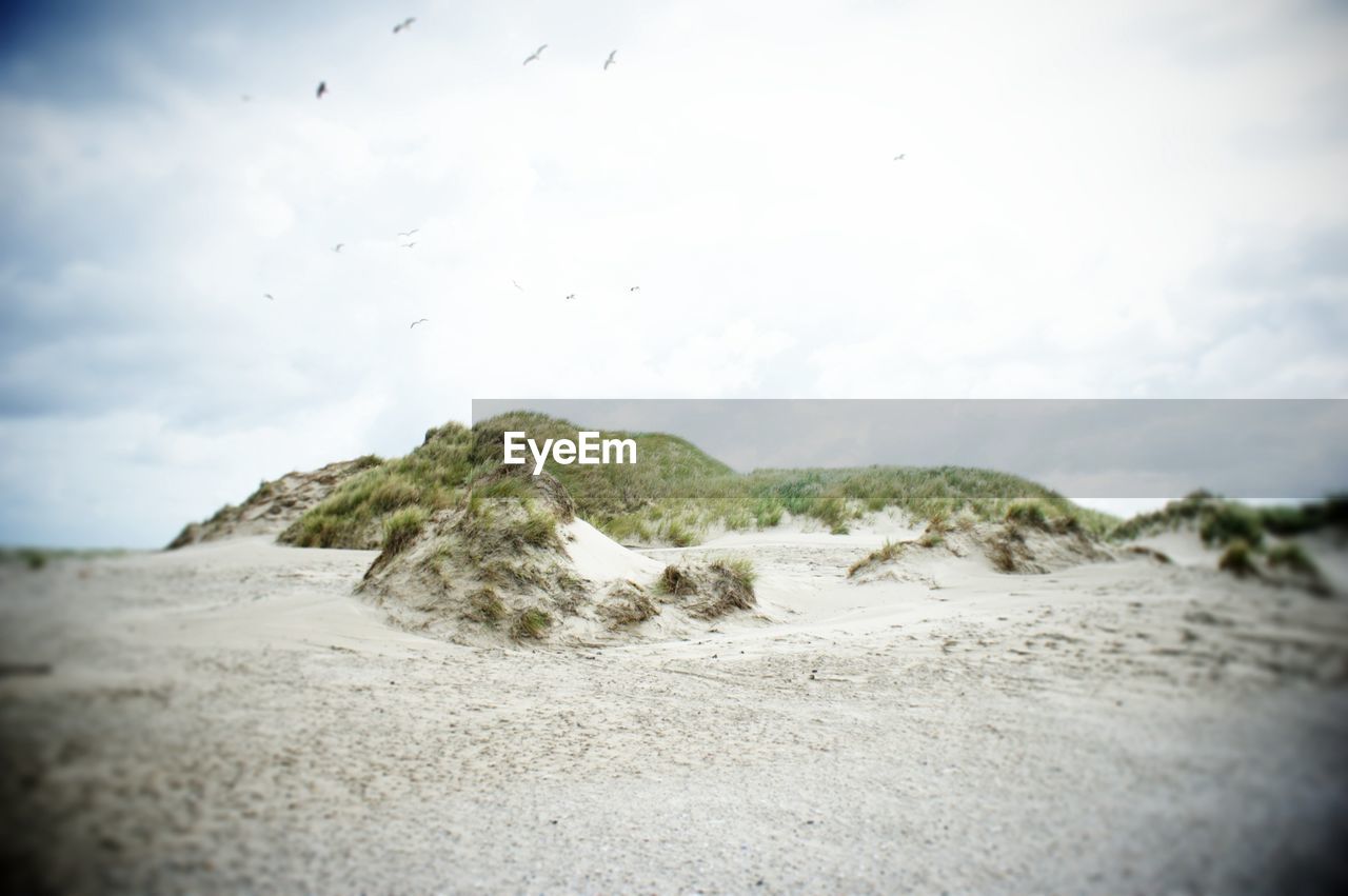 View of calm sandy beach against the sky