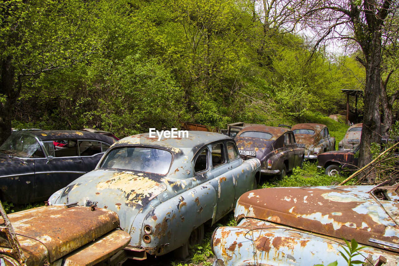 Old vintage car and auto in georgia