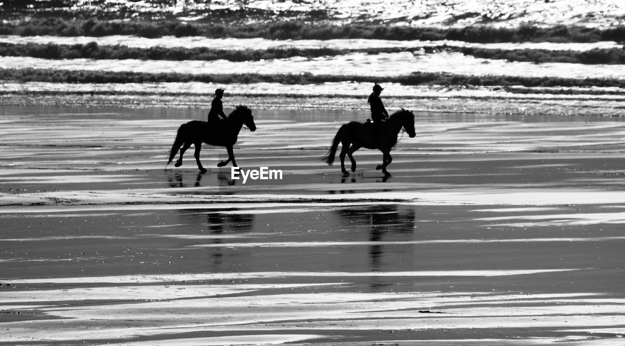 On the beach 
