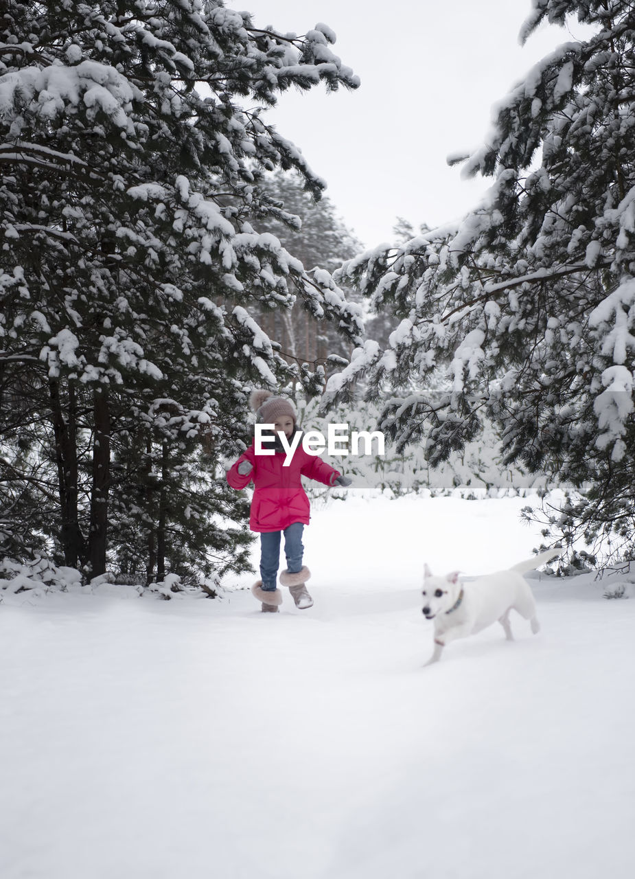 Child in winter. little girl in nature playing with a dog in winter