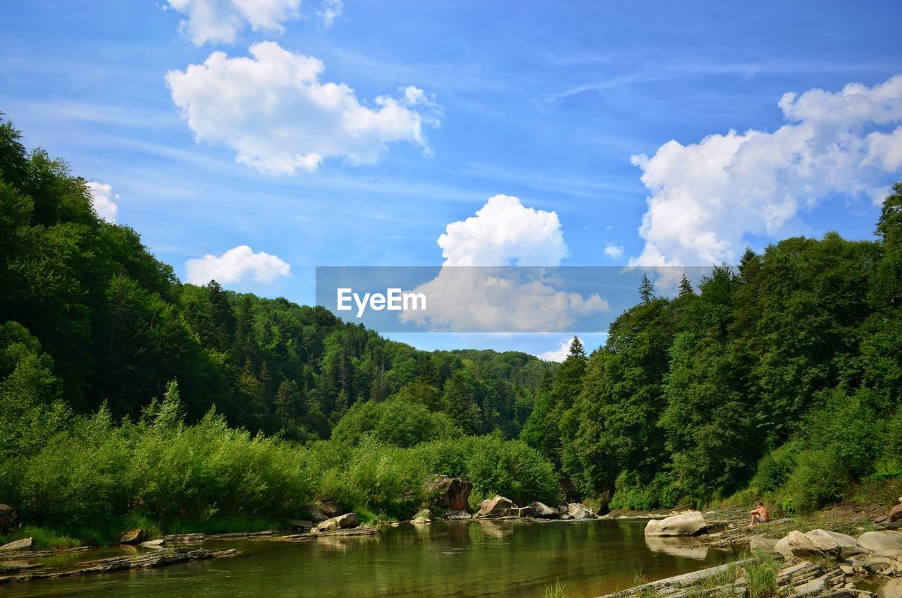 Scenic view of lake amidst trees in forest against sky