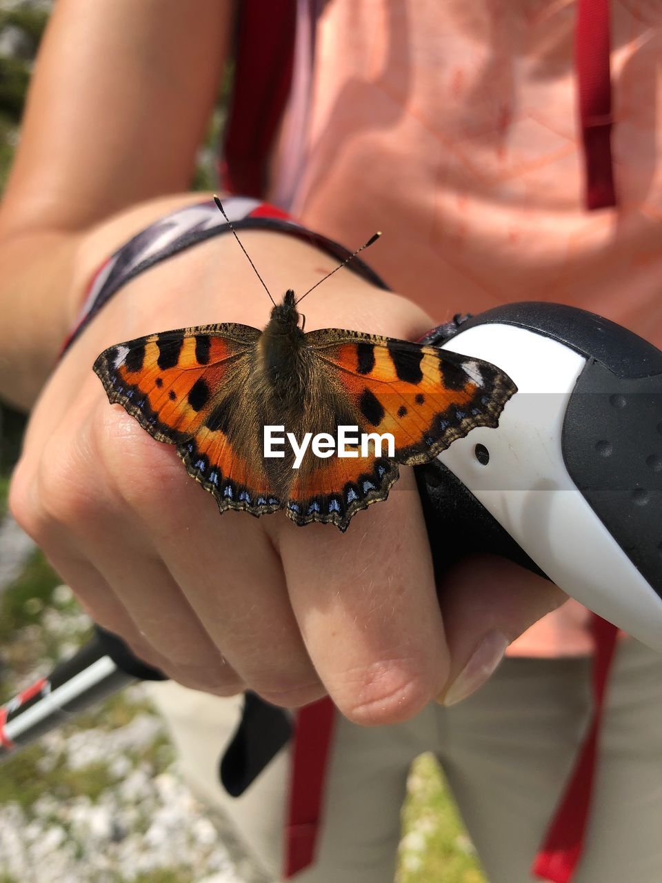 CLOSE-UP OF BUTTERFLY ON HUMAN HAND HOLDING OUTDOORS