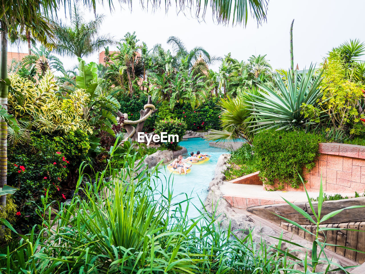 PLANTS GROWING IN SWIMMING POOL BY SEA