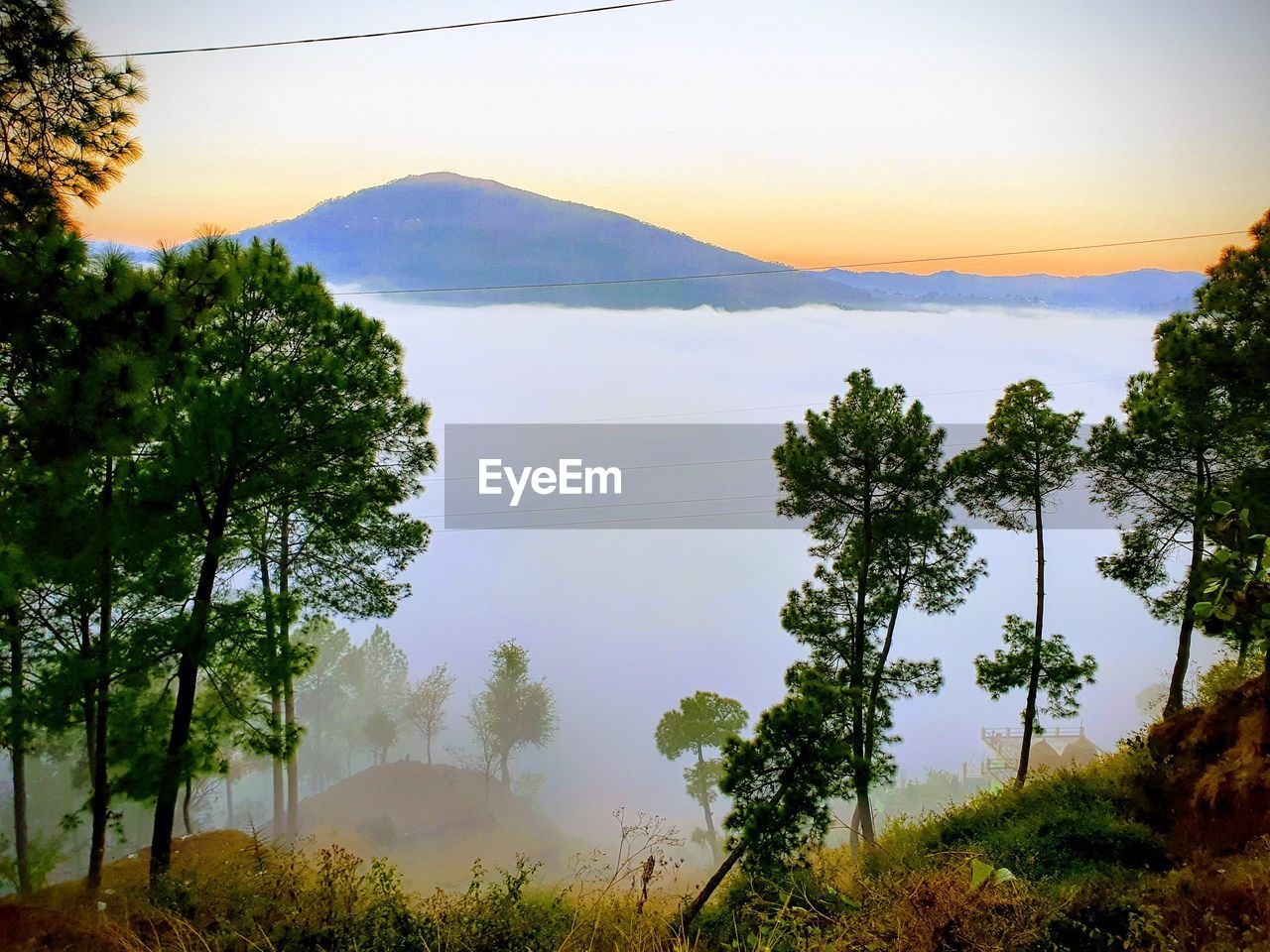 Scenic view of trees against sky during sunset