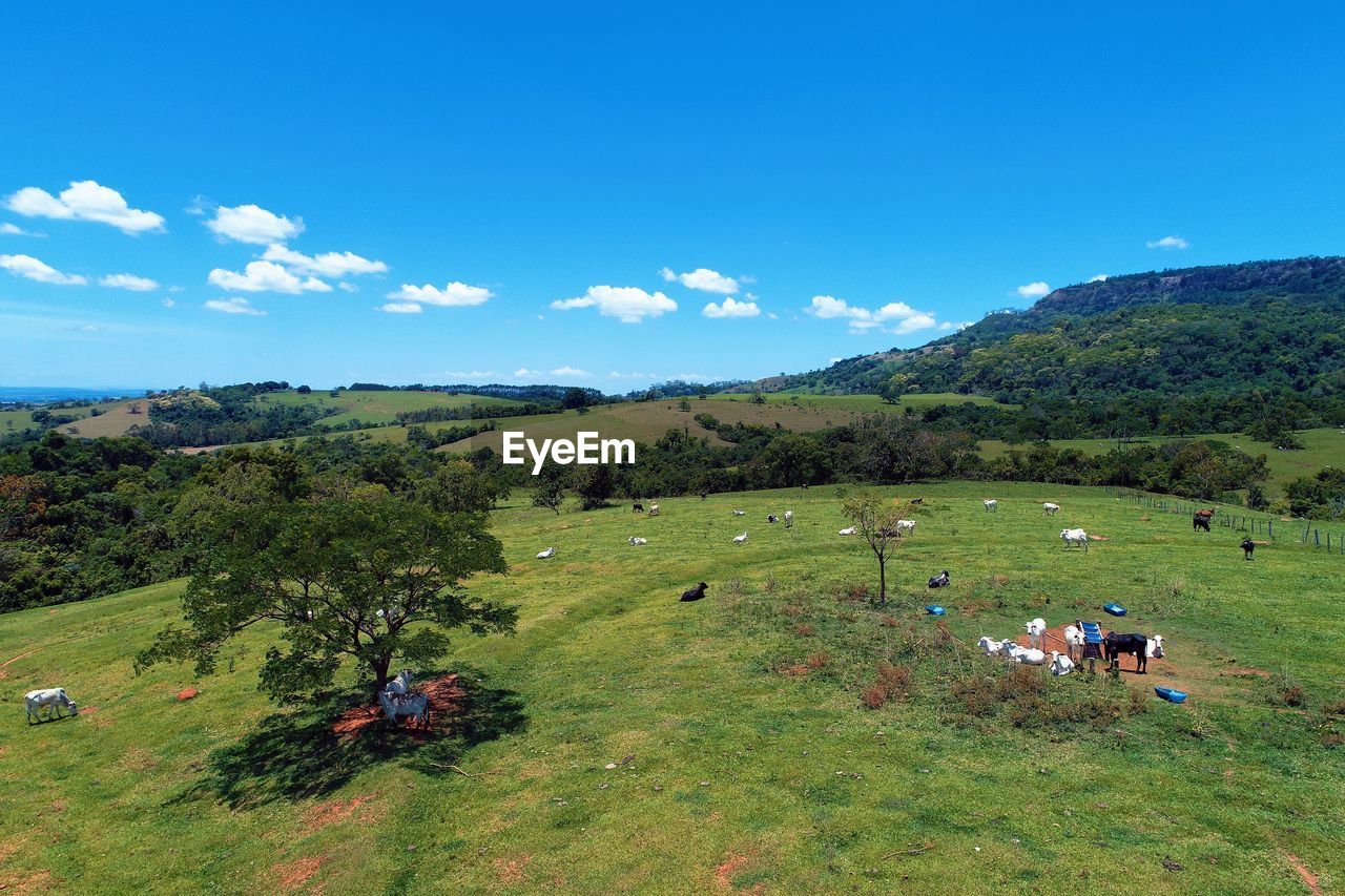 Aerial view of contryside and rural scene