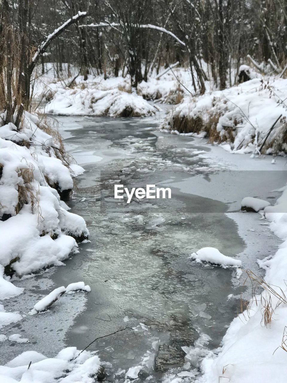 FROZEN STREAM IN FOREST