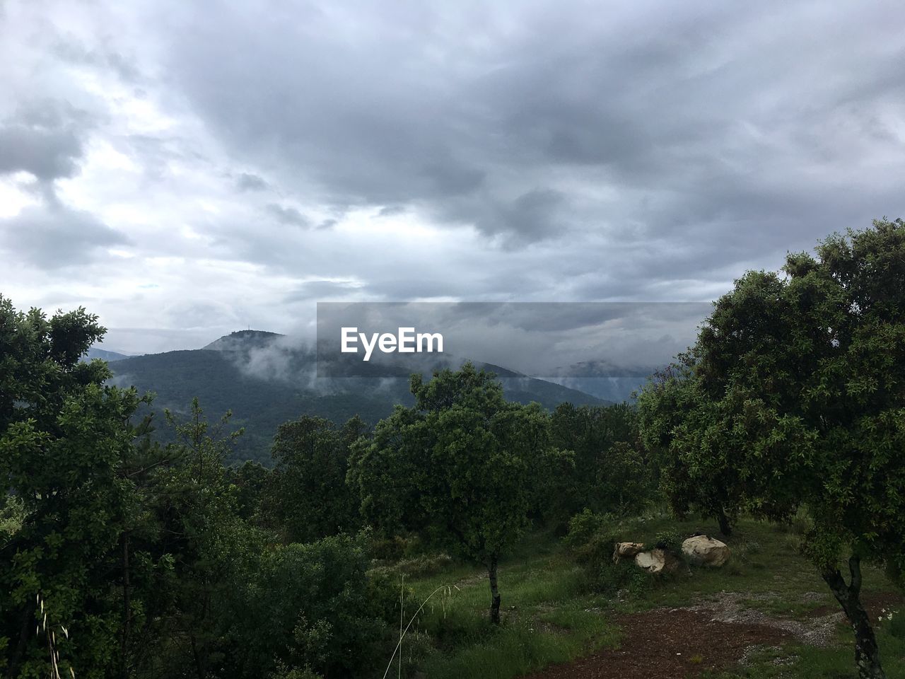 SCENIC VIEW OF LANDSCAPE AND TREES AGAINST SKY