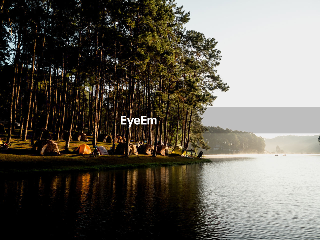 View of tents by tree against lake