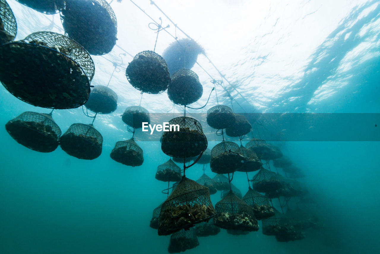 Oyster farm, ishikawa, notojima , japan