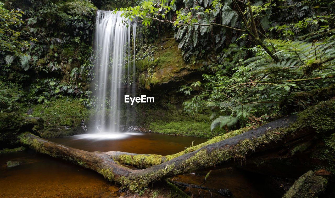 waterfall, tree, water, plant, beauty in nature, forest, scenics - nature, rainforest, nature, motion, long exposure, body of water, land, environment, natural environment, water feature, jungle, flowing water, stream, woodland, no people, non-urban scene, green, blurred motion, watercourse, outdoors, travel destinations, autumn, growth, rock, foliage, flowing, moss, lush foliage, idyllic, landscape, tourism, day, travel, falling, splashing, river, power in nature, leaf, tranquility, water resources, tropical climate, tranquil scene