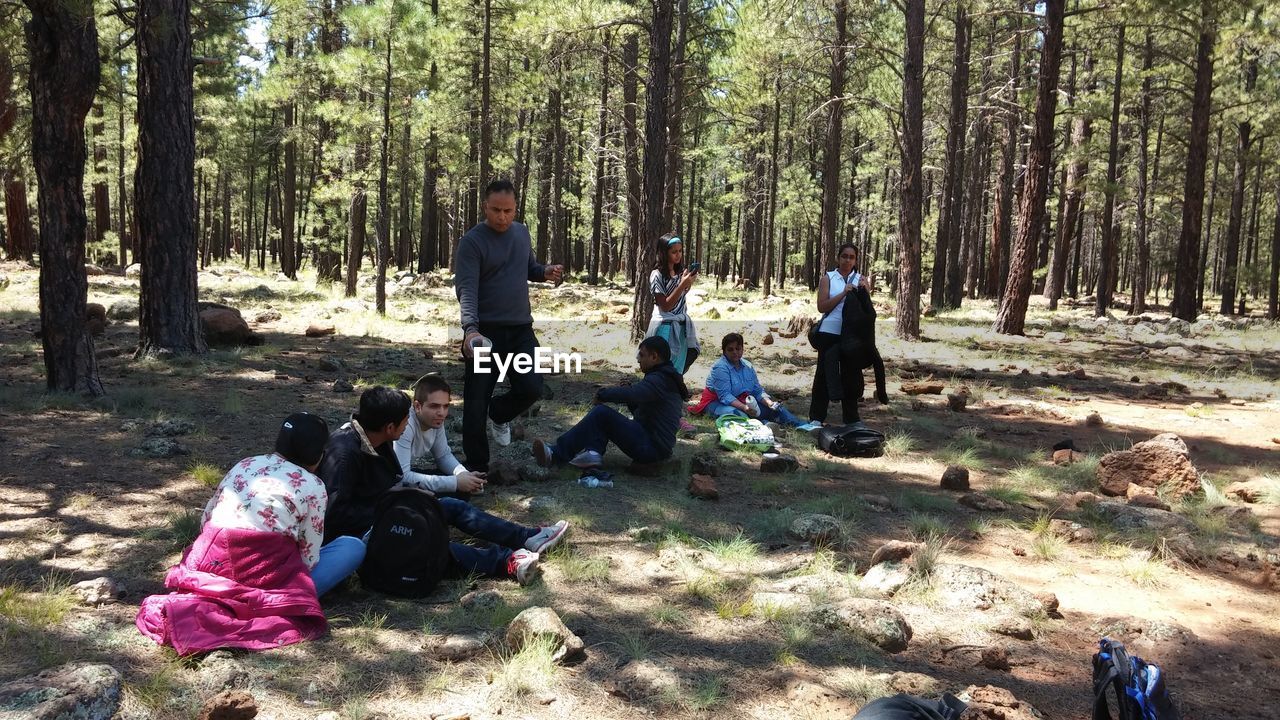 tree, forest, medium group of people, senior adult, nature, day, men, sitting, real people, outdoors, full length, women, togetherness, volunteer, young adult, adult, people