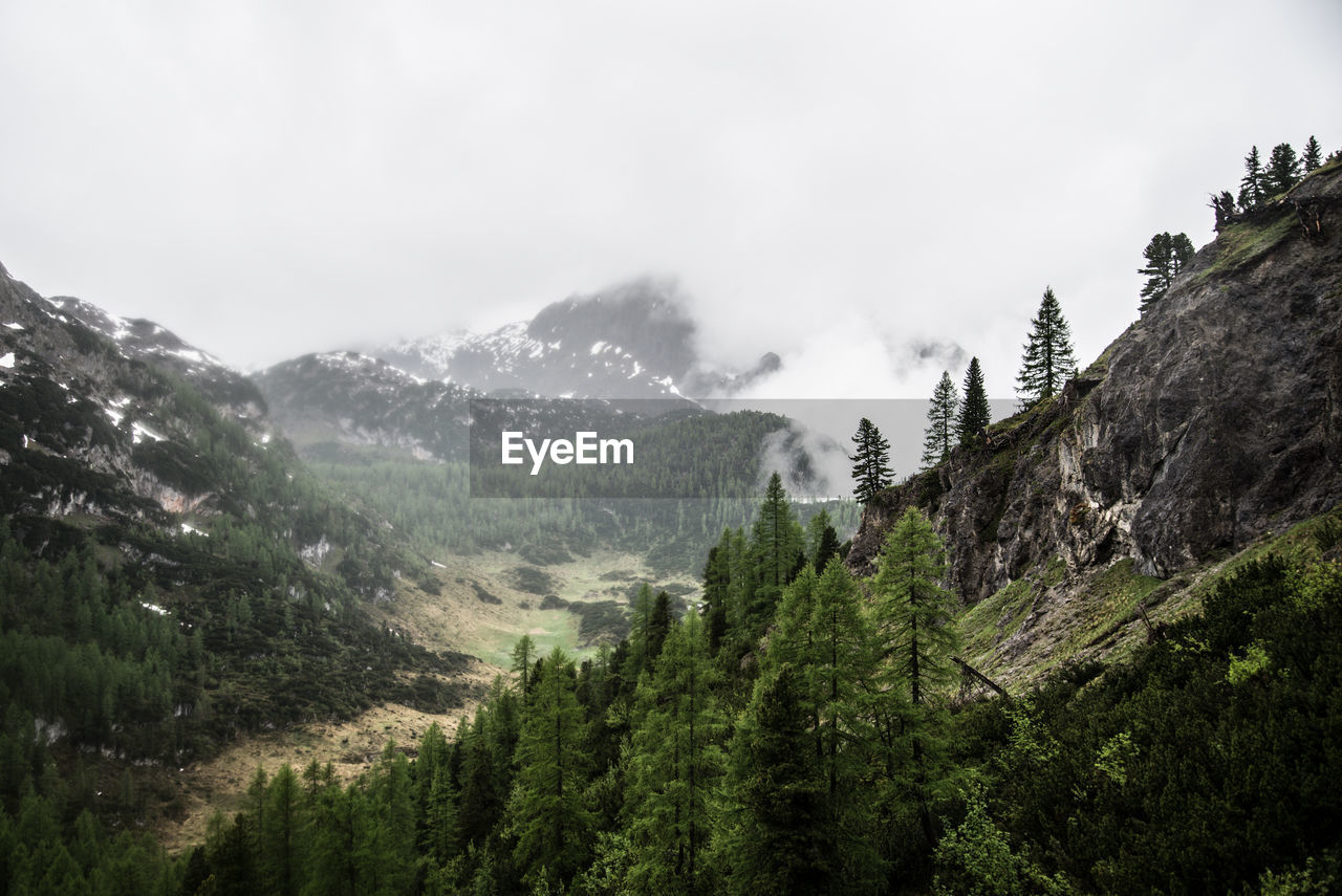 Scenic view of trees and mountains against sky