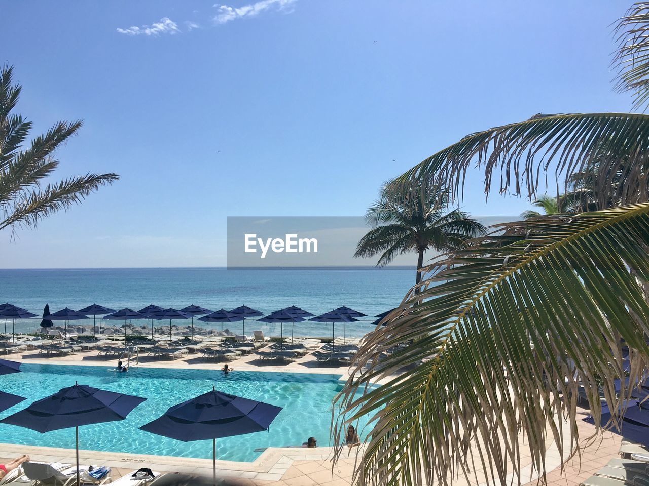 PALM TREES BY SWIMMING POOL AGAINST SKY