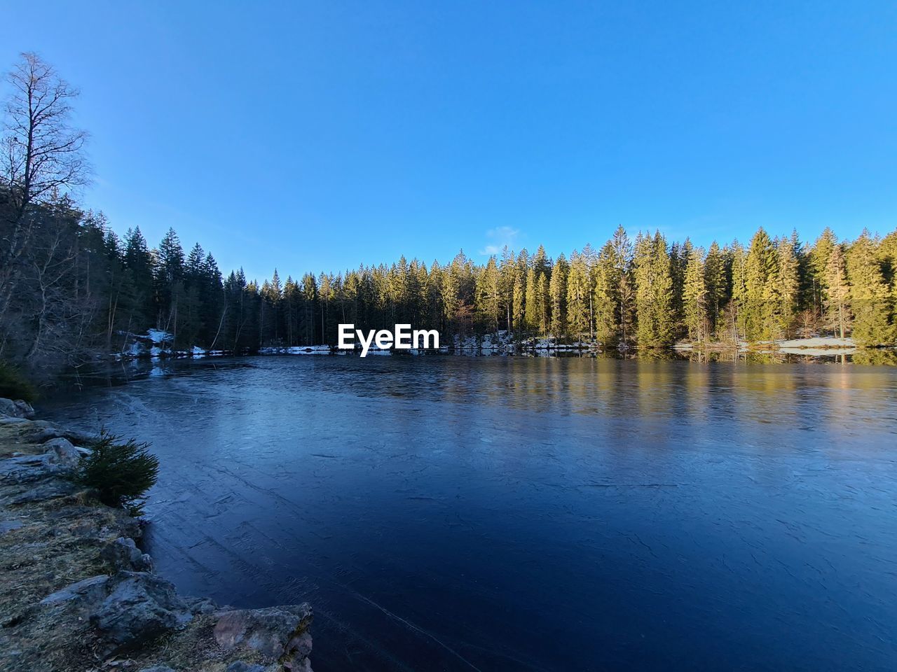 SCENIC VIEW OF LAKE IN FOREST AGAINST BLUE SKY