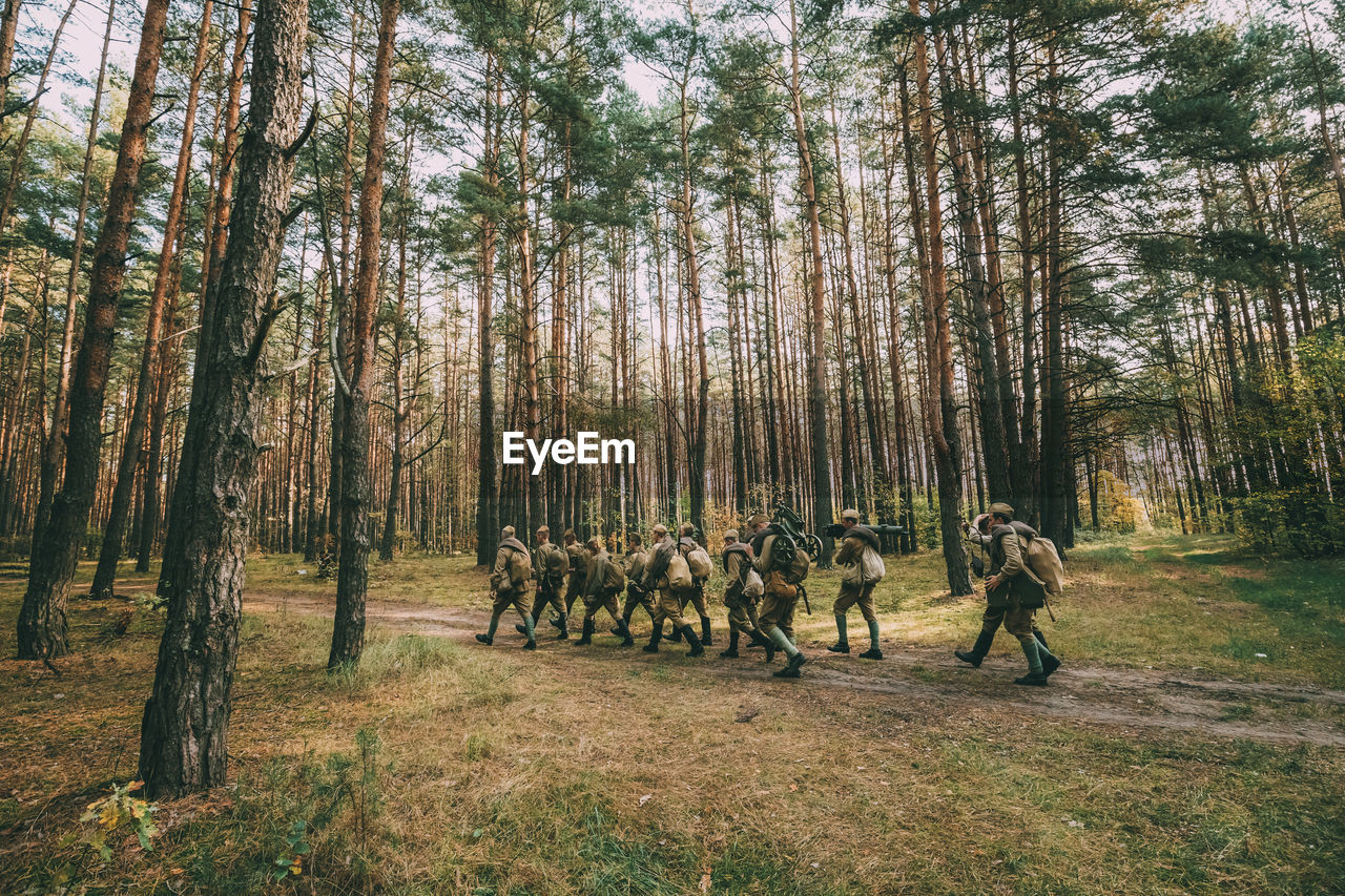 PEOPLE WALKING IN FOREST