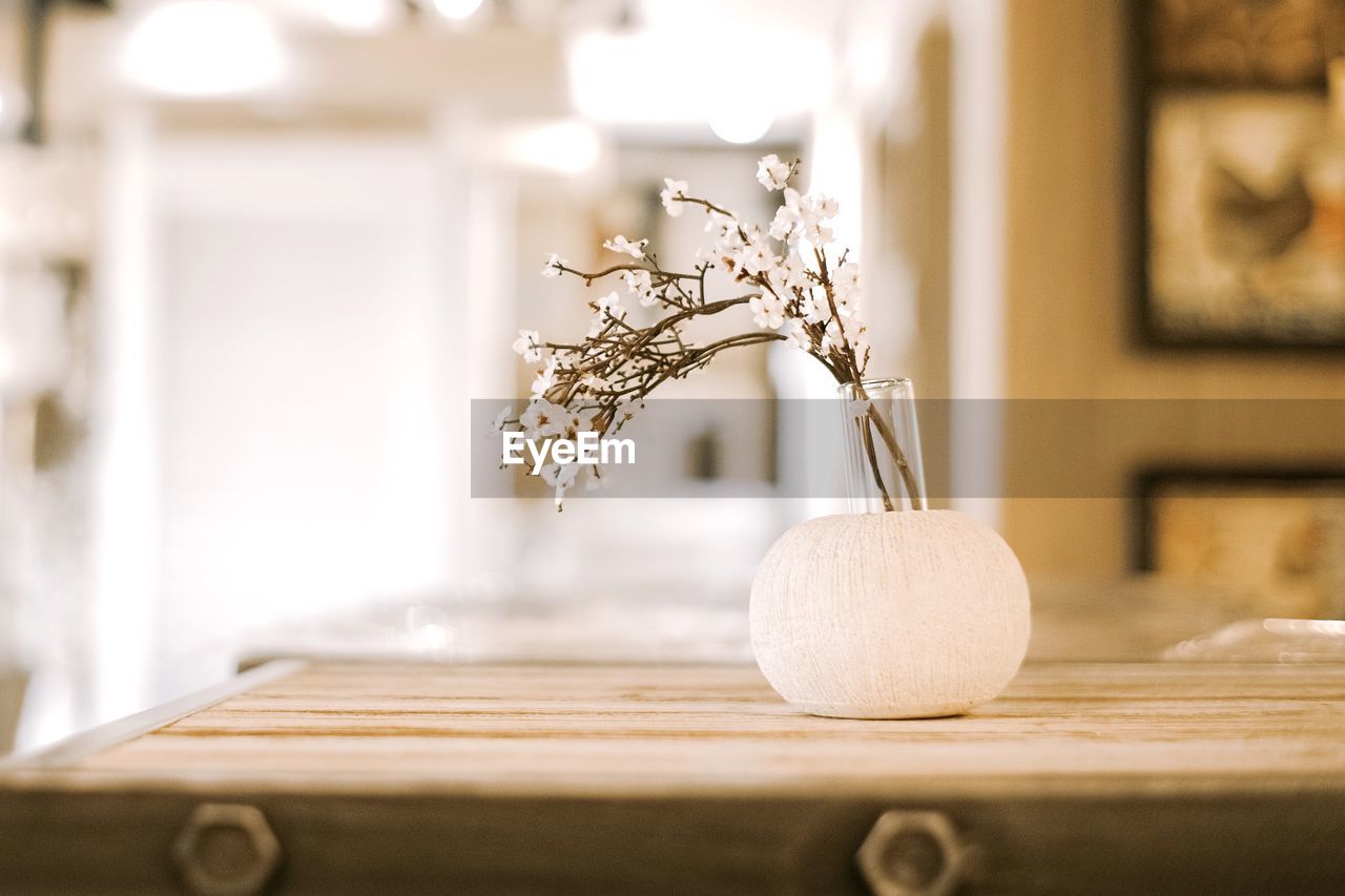 Close-up of flower vase on table at home