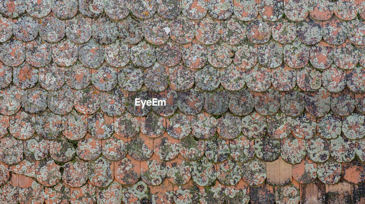 Romanian old roof tiles texture with lichens due to humid climate