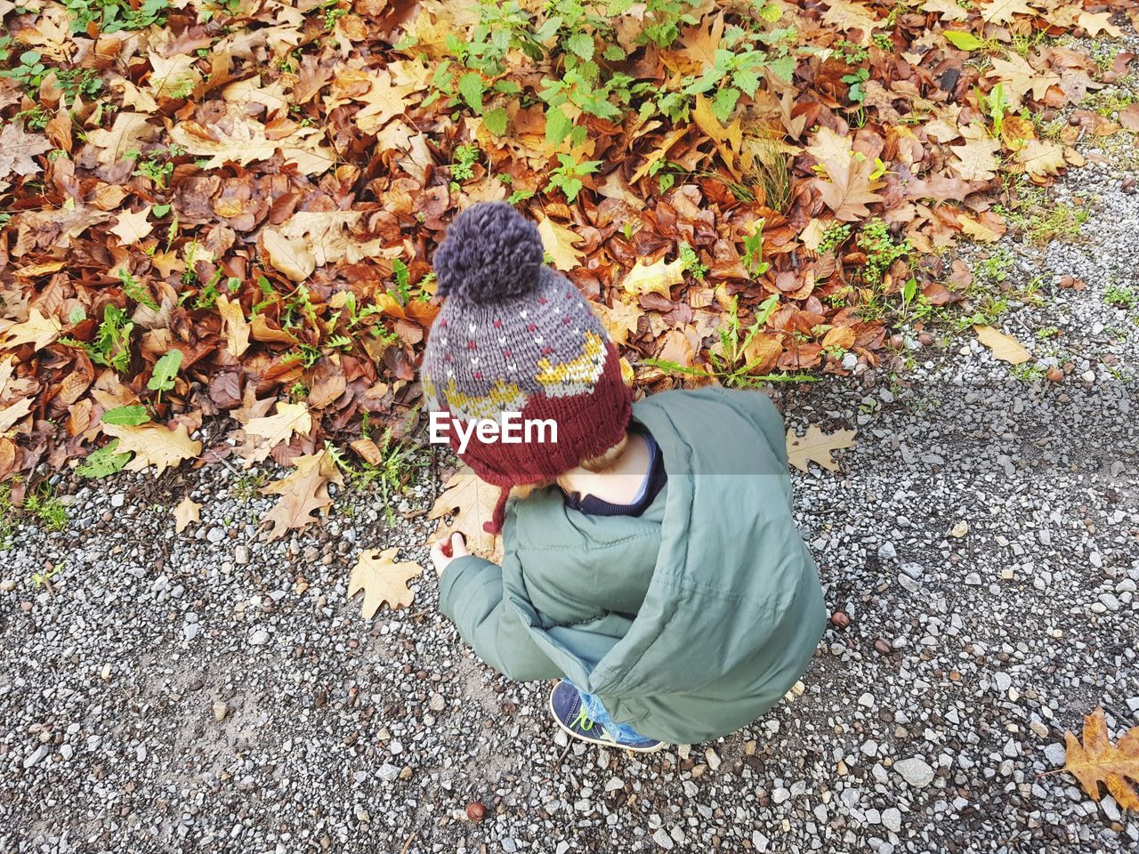 High angle view of boy crouching by autumn leaves on road