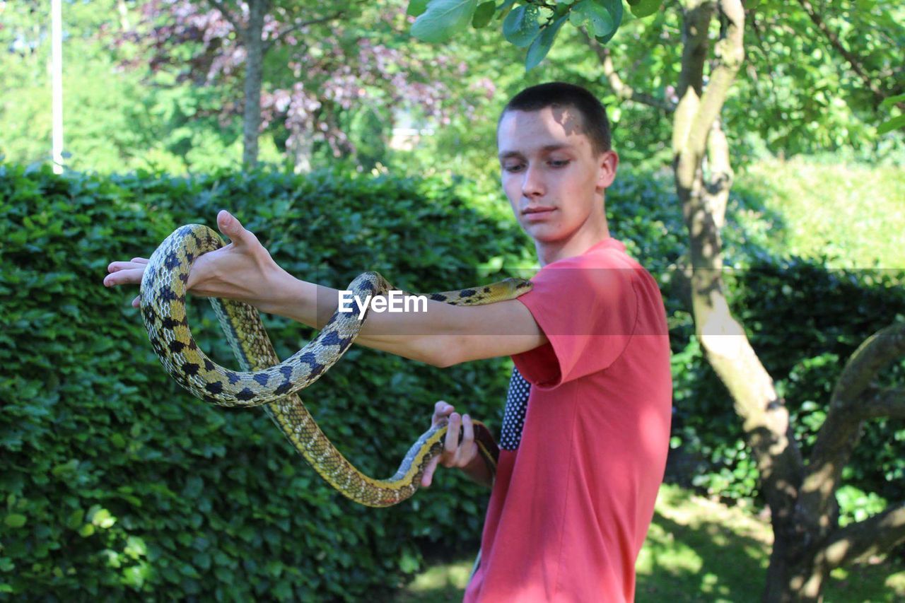 Young man holding snake while standing at public park