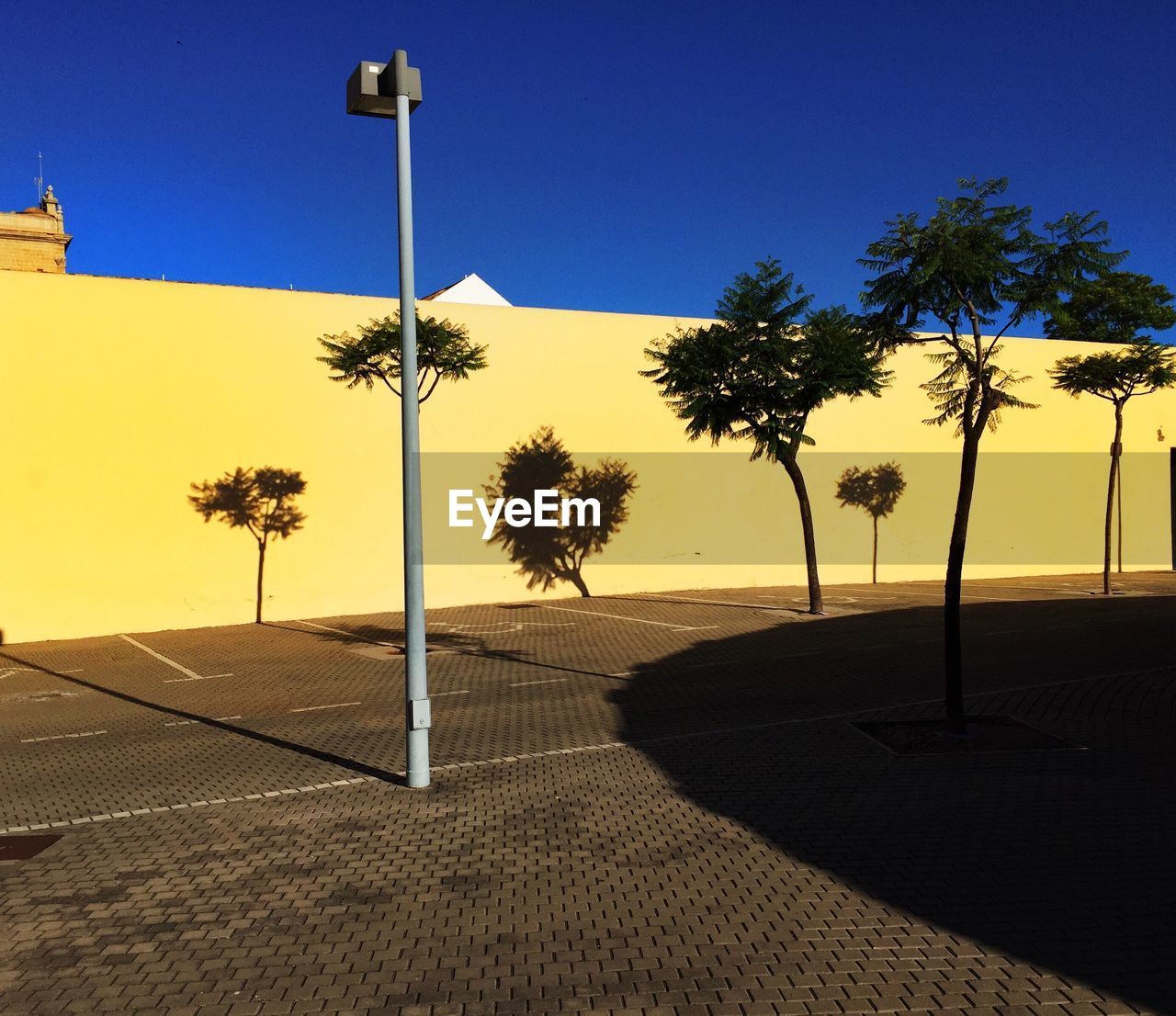 TREES BY SWIMMING POOL AGAINST SKY