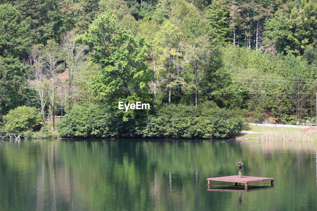 SCENIC VIEW OF LAKE WITH TREES IN FOREST