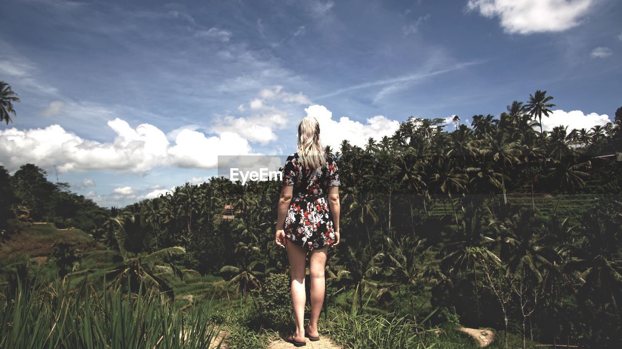 REAR VIEW OF WOMAN STANDING AGAINST TREES AND MOUNTAIN