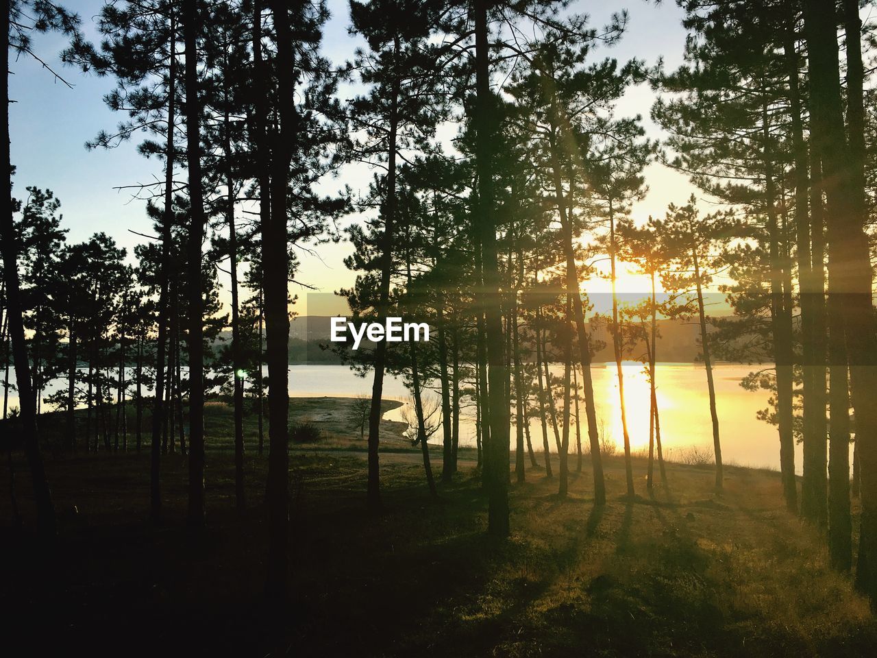 SCENIC VIEW OF LAKE IN FOREST AGAINST SKY AT SUNSET