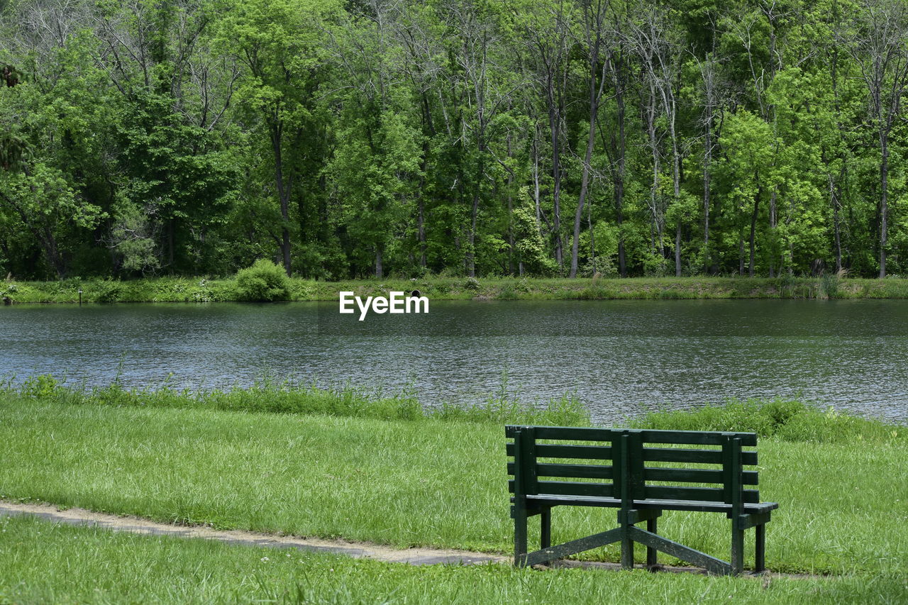 Scenic view of lake in park