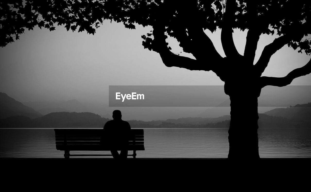 Silhouette man sitting on bench by tree in front of lake