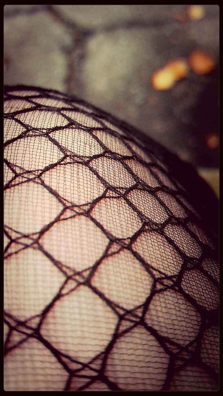 Woman leg wearing fishnet stockings