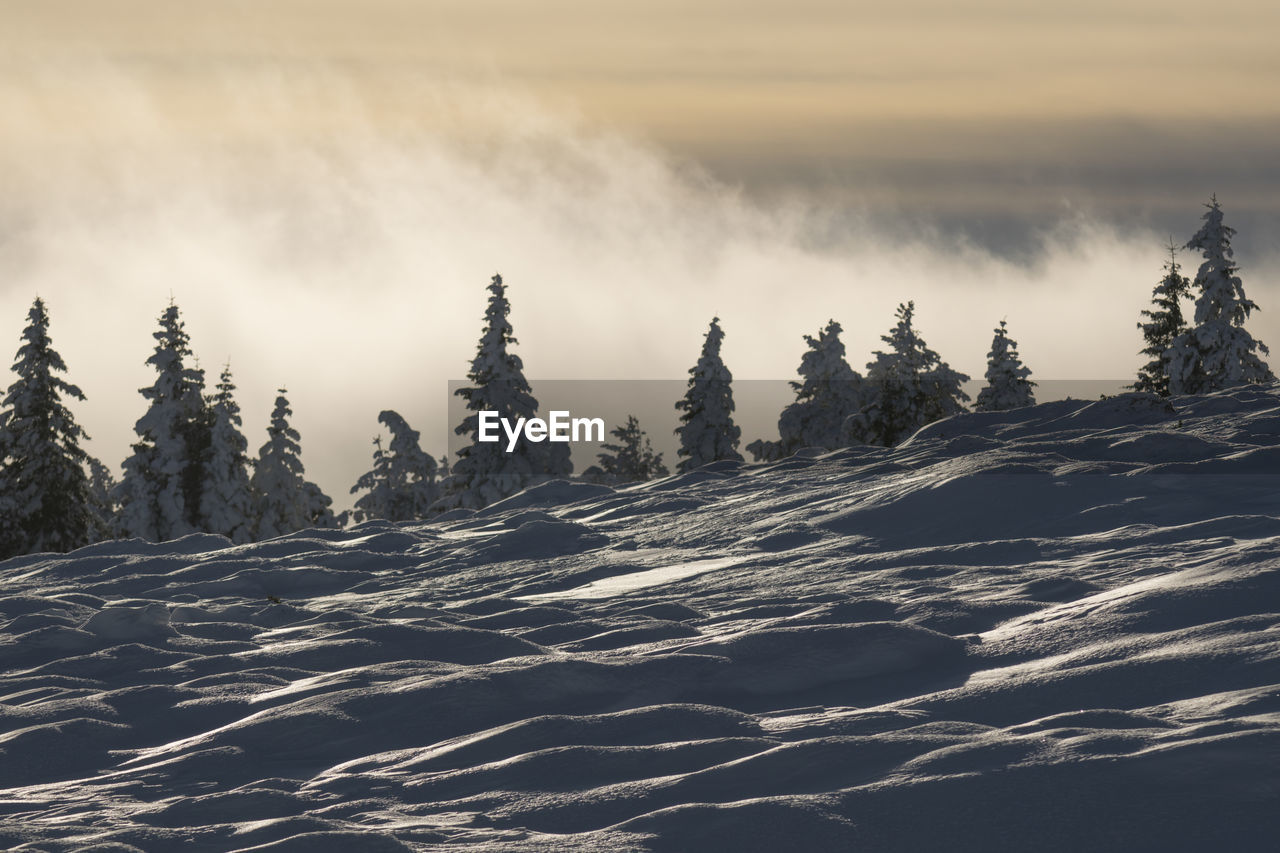 Scenic view of snow covered land against sky