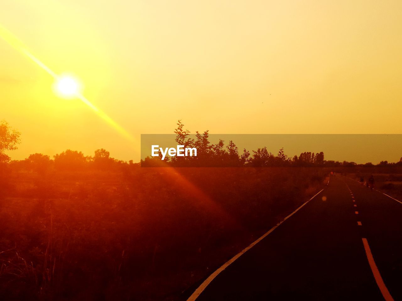 SILHOUETTE TREES ON LANDSCAPE AGAINST ORANGE SKY