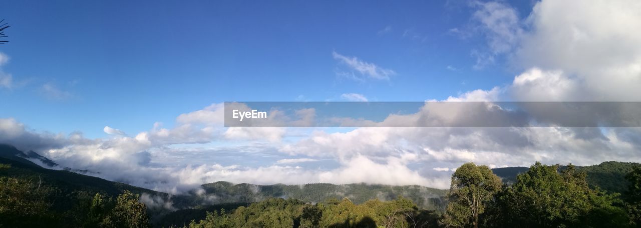 Panoramic view of trees against sky