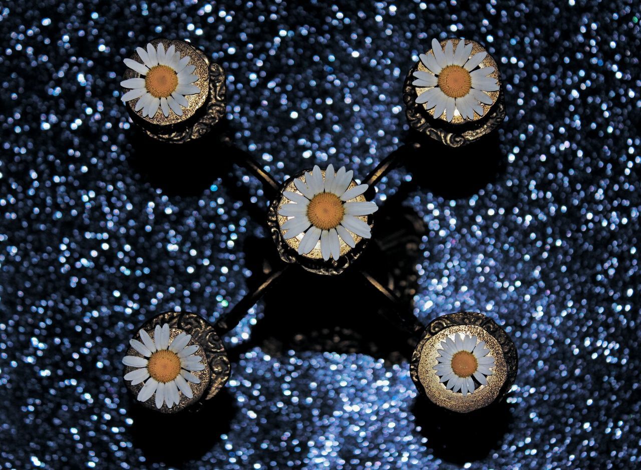 Directly above shot of daisies on candlestick holder