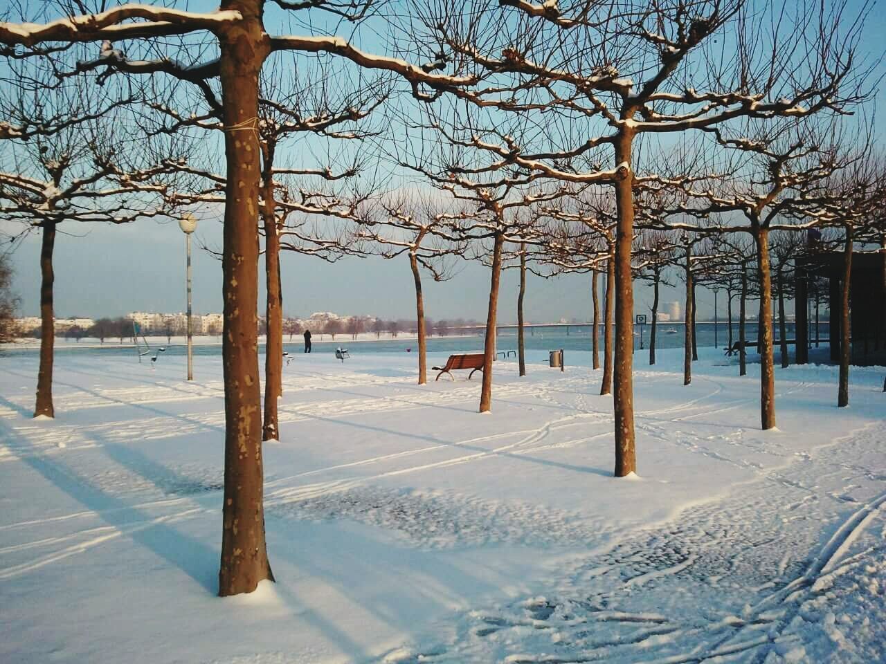 View of bare trees on snow by river