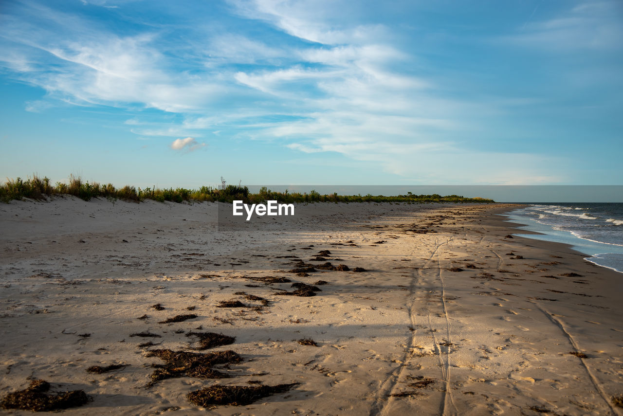 SCENIC VIEW OF BEACH