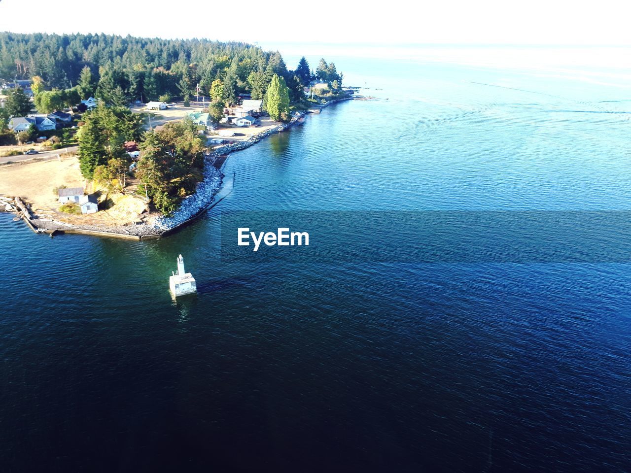 HIGH ANGLE VIEW OF TREES ON SEA