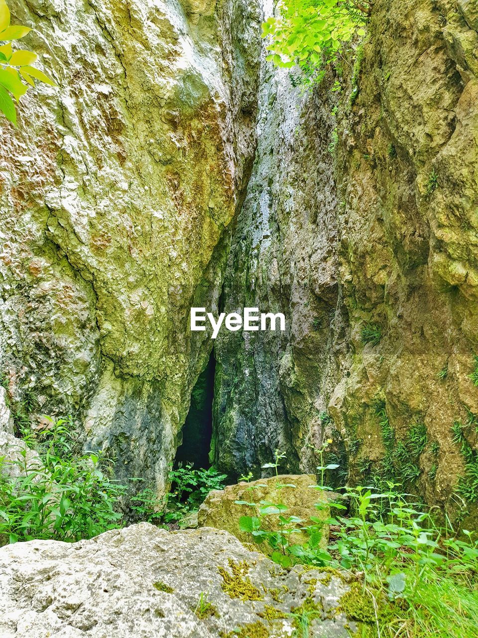 plant, nature, beauty in nature, rock, green, tree, no people, day, growth, land, tranquility, ravine, forest, scenics - nature, outdoors, moss, non-urban scene, woodland, tranquil scene, rock formation, stream, cave, water, sunlight, formation