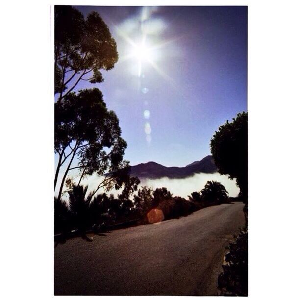 SCENIC VIEW OF ROAD