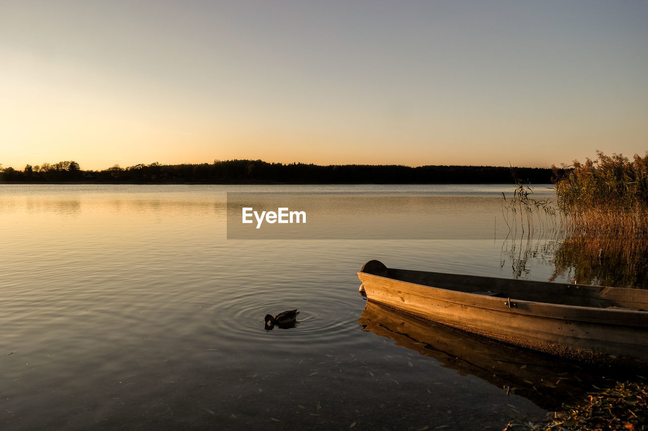 SWAN SWIMMING ON LAKE AGAINST SKY